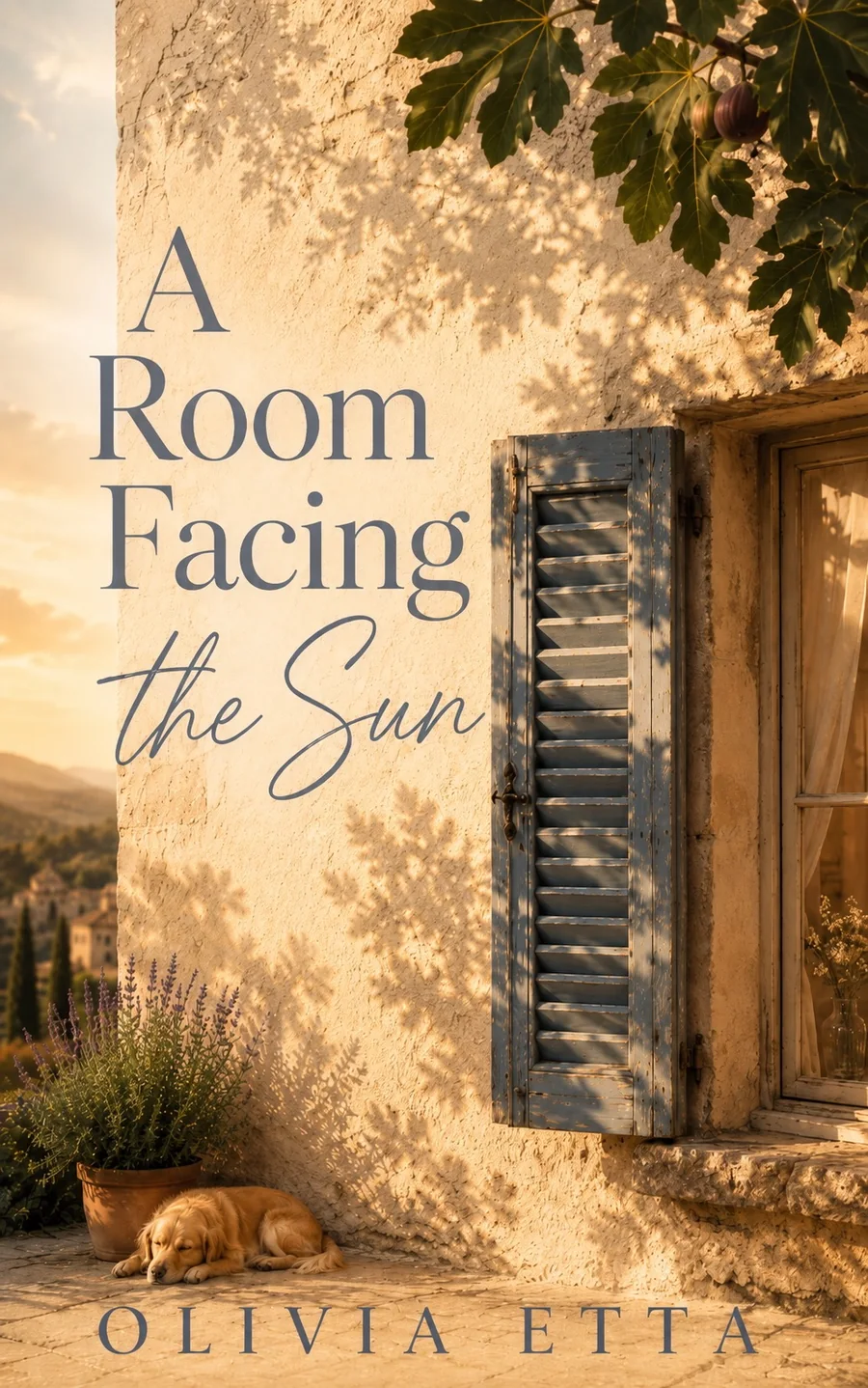 A Room Facing the Sun book cover